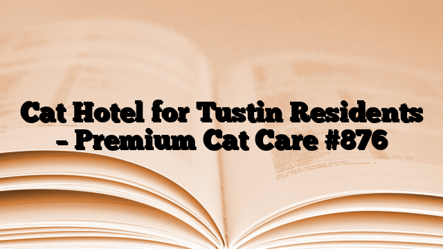 Cat Hotel for Tustin Residents – Premium Cat Care