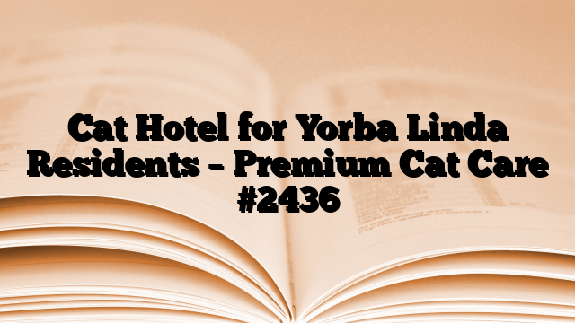 Cat Hotel for Yorba Linda Residents – Premium Cat Care