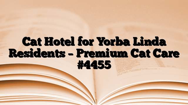 Cat Hotel for Yorba Linda Residents – Premium Cat Care