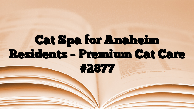Cat Spa for Anaheim Residents – Premium Cat Care