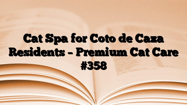 Cat Spa for Coto de Caza Residents – Premium Cat Care