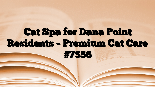 Cat Spa for Dana Point Residents – Premium Cat Care