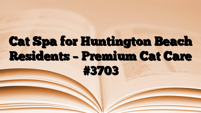 Cat Spa for Huntington Beach Residents – Premium Cat Care