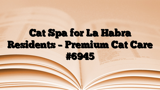 Cat Spa for La Habra Residents – Premium Cat Care