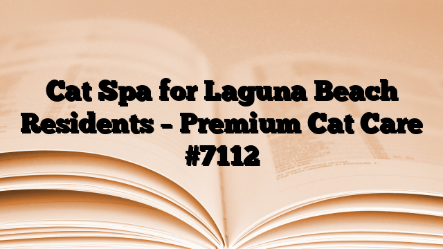 Cat Spa for Laguna Beach Residents – Premium Cat Care