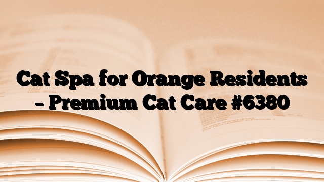 Cat Spa for Orange Residents – Premium Cat Care
