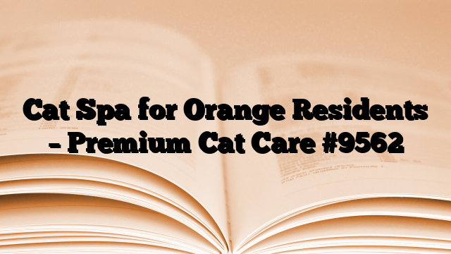 Cat Spa for Orange Residents – Premium Cat Care
