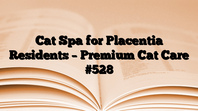 Cat Spa for Placentia Residents – Premium Cat Care