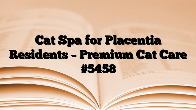 Cat Spa for Placentia Residents – Premium Cat Care