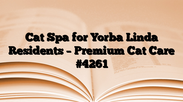 Cat Spa for Yorba Linda Residents – Premium Cat Care