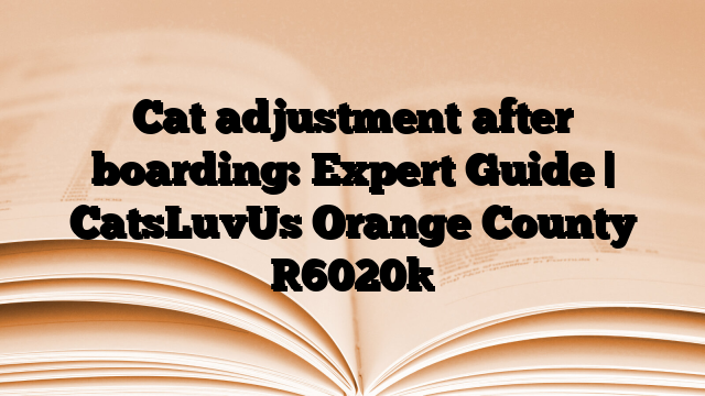 Cat adjustment after boarding: Expert Guide | CatsLuvUs Orange County