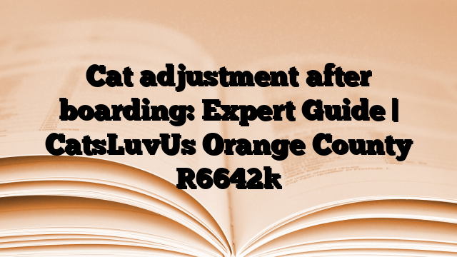 Cat adjustment after boarding: Expert Guide | CatsLuvUs Orange County