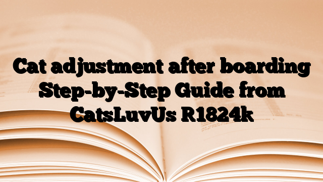Cat adjustment after boarding Step-by-Step Guide from CatsLuvUs