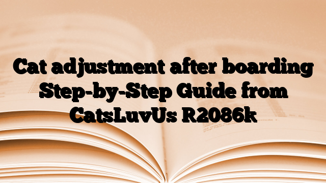 Cat adjustment after boarding Step-by-Step Guide from CatsLuvUs