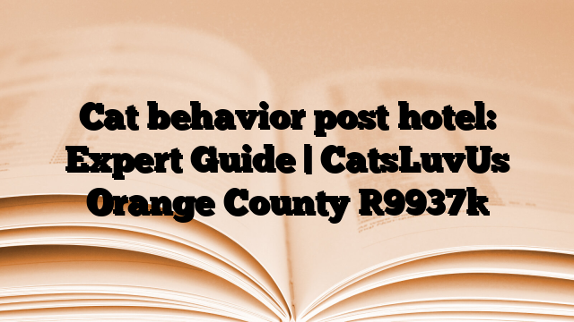Cat behavior post hotel: Expert Guide | CatsLuvUs Orange County