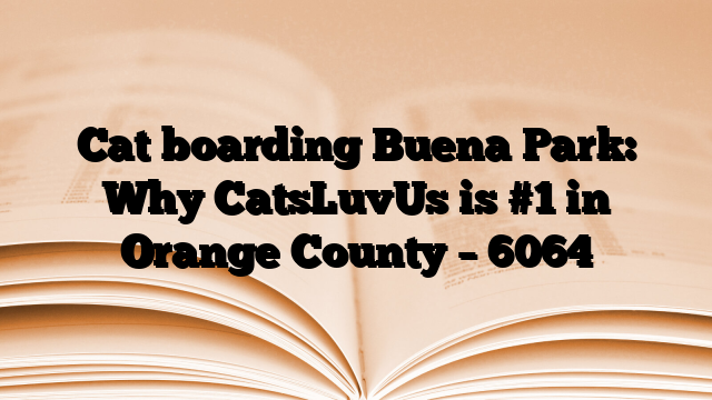 Cat boarding Buena Park: Why CatsLuvUs is #1 in Orange County