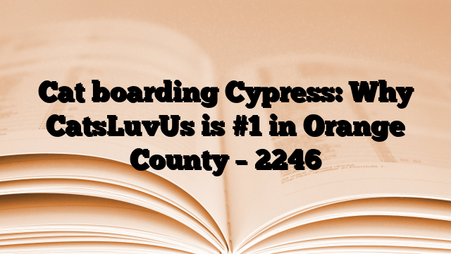 Cat boarding Cypress: Why CatsLuvUs is #1 in Orange County