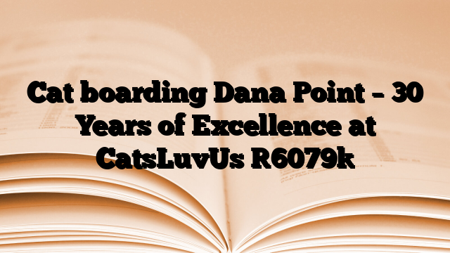 Cat boarding Dana Point – 30 Years of Excellence at CatsLuvUs