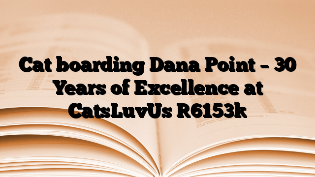 Cat boarding Dana Point – 30 Years of Excellence at CatsLuvUs