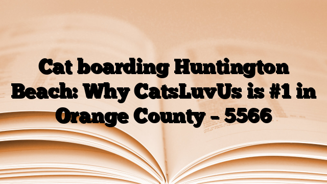 Cat boarding Huntington Beach: Why CatsLuvUs is #1 in Orange County