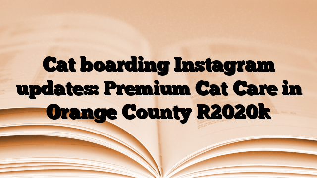 Cat boarding Instagram updates: Premium Cat Care in Orange County