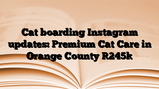 Cat boarding Instagram updates: Premium Cat Care in Orange County