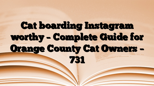 Cat boarding Instagram worthy – Complete Guide for Orange County Cat Owners