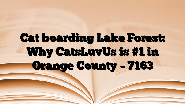 Cat boarding Lake Forest: Why CatsLuvUs is #1 in Orange County