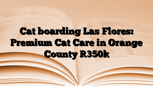 Cat boarding Las Flores: Premium Cat Care in Orange County