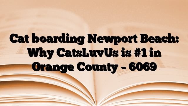 Cat boarding Newport Beach: Why CatsLuvUs is #1 in Orange County – 6069