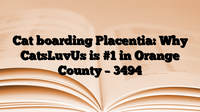 Cat boarding Placentia: Why CatsLuvUs is #1 in Orange County