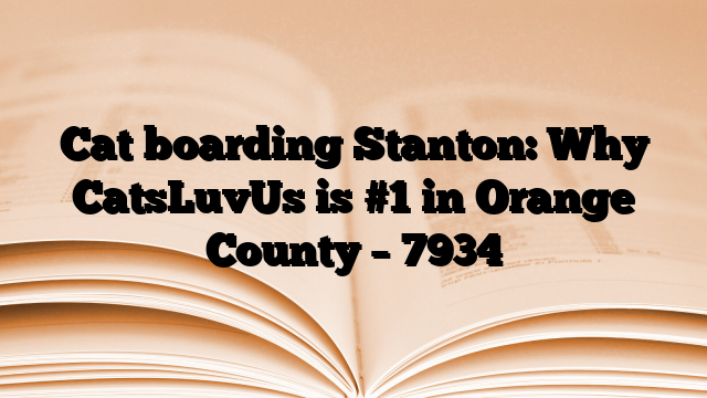 Cat boarding Stanton: Why CatsLuvUs is #1 in Orange County