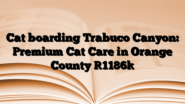 Cat boarding Trabuco Canyon: Premium Cat Care in Orange County