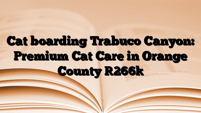 Cat boarding Trabuco Canyon: Premium Cat Care in Orange County