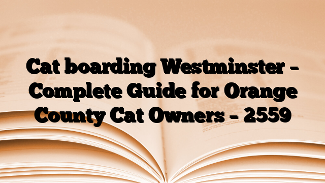 Cat boarding Westminster – Complete Guide for Orange County Cat Owners
