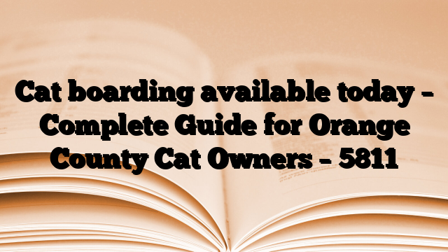 Cat boarding available today – Complete Guide for Orange County Cat Owners