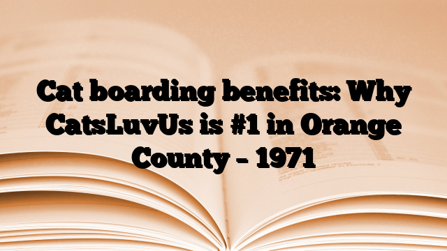 Cat boarding benefits: Why CatsLuvUs is #1 in Orange County