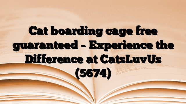 Cat boarding cage free guaranteed – Experience the Difference at CatsLuvUs
