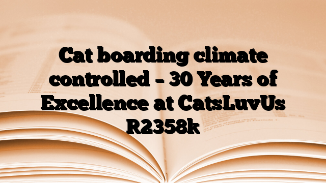 Cat boarding climate controlled – 30 Years of Excellence at CatsLuvUs