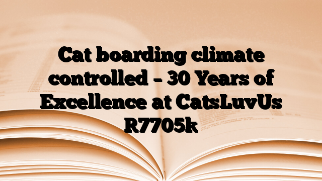 Cat boarding climate controlled – 30 Years of Excellence at CatsLuvUs