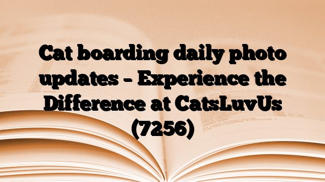 Cat boarding daily photo updates – Experience the Difference at CatsLuvUs