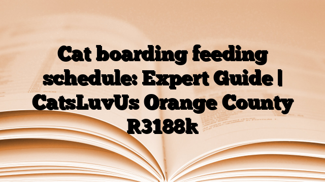 Cat boarding feeding schedule: Expert Guide | CatsLuvUs Orange County