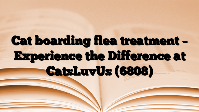 Cat boarding flea treatment – Experience the Difference at CatsLuvUs