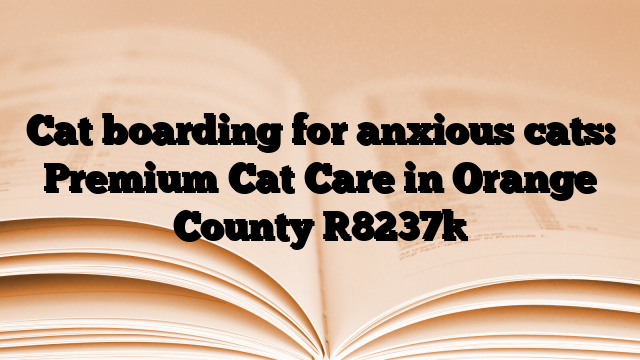 Cat boarding for anxious cats: Premium Cat Care in Orange County