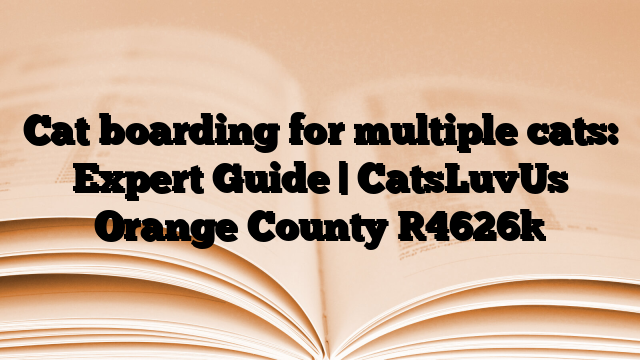 Cat boarding for multiple cats: Expert Guide | CatsLuvUs Orange County