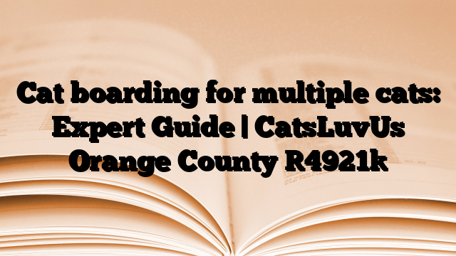 Cat boarding for multiple cats: Expert Guide | CatsLuvUs Orange County