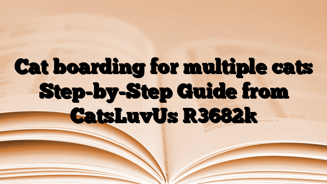 Cat boarding for multiple cats Step-by-Step Guide from CatsLuvUs
