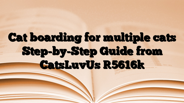 Cat boarding for multiple cats Step-by-Step Guide from CatsLuvUs