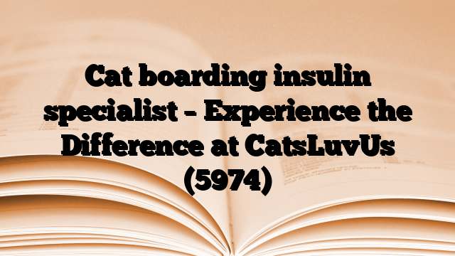 Cat boarding insulin specialist – Experience the Difference at CatsLuvUs