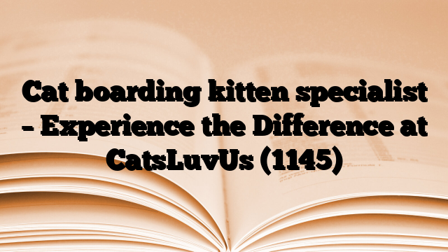 Cat boarding kitten specialist – Experience the Difference at CatsLuvUs